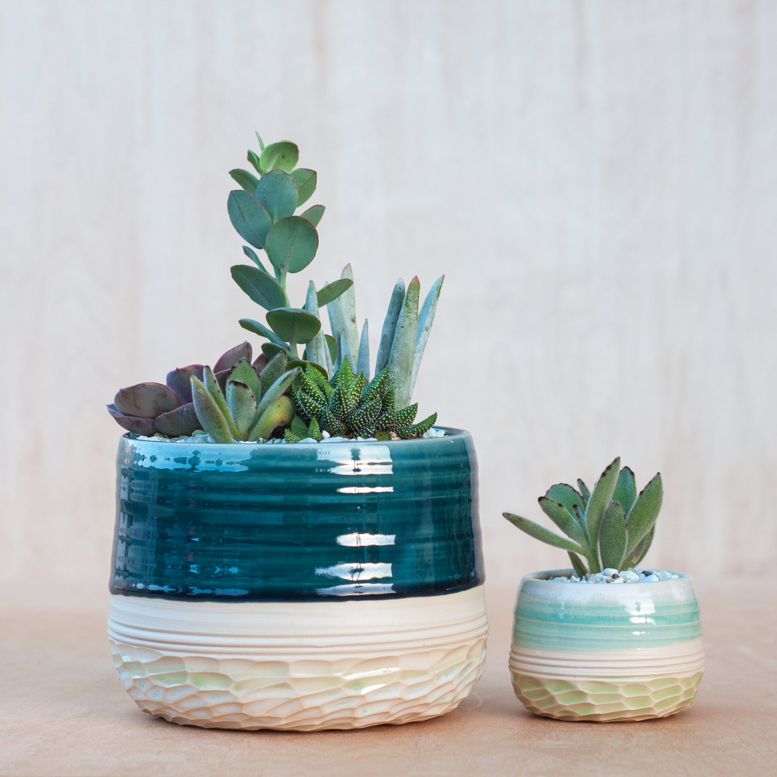 planter garden succulent cactus blue mint