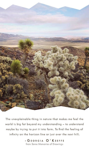 georgia okeeffe desert cactus California joshua tree mojave