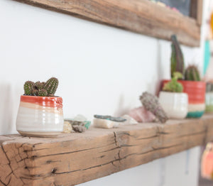 babe planters planter succulent cactus indoor garden