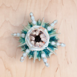 Anemone Coral Vessel