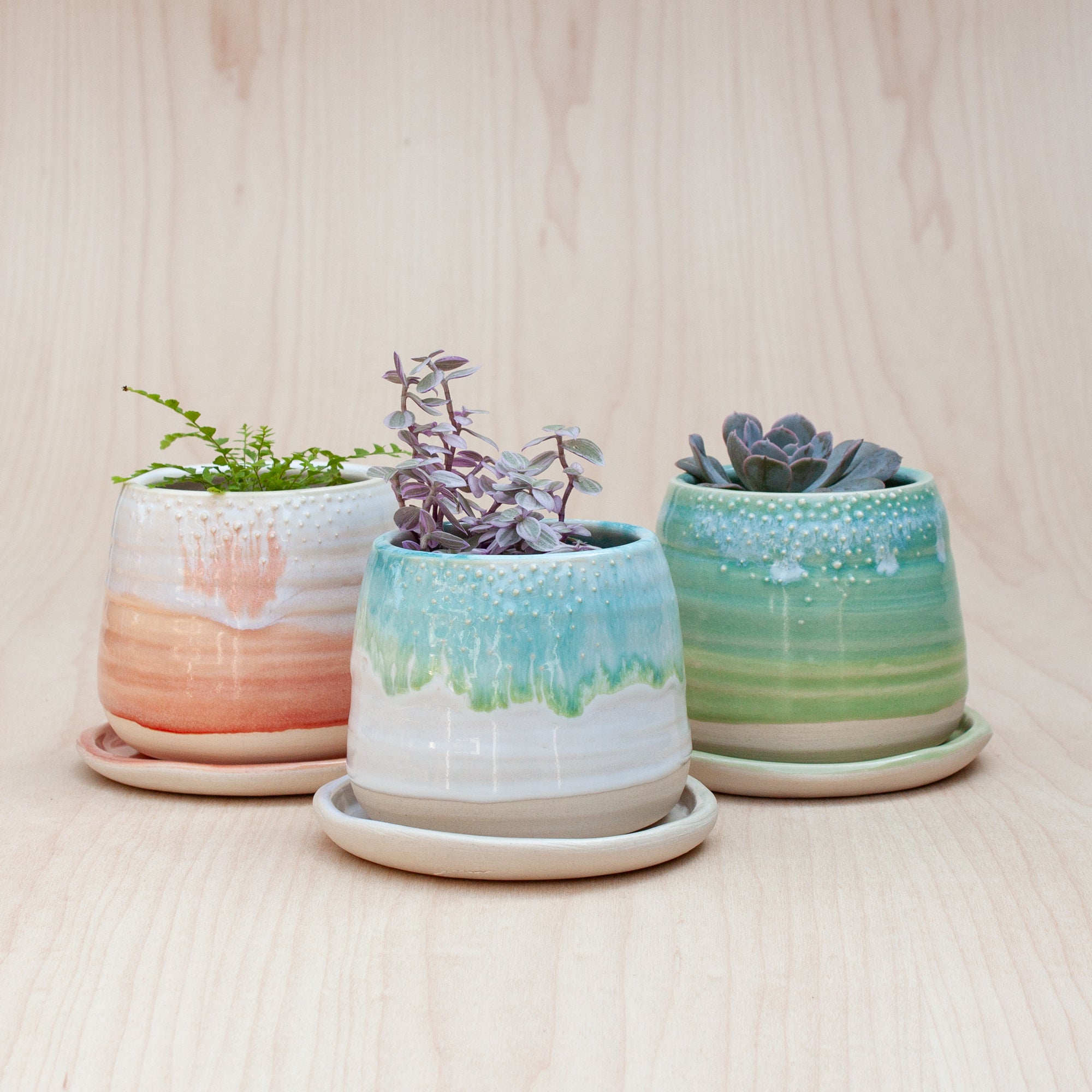 Barnacle Babe Planter in Sunset