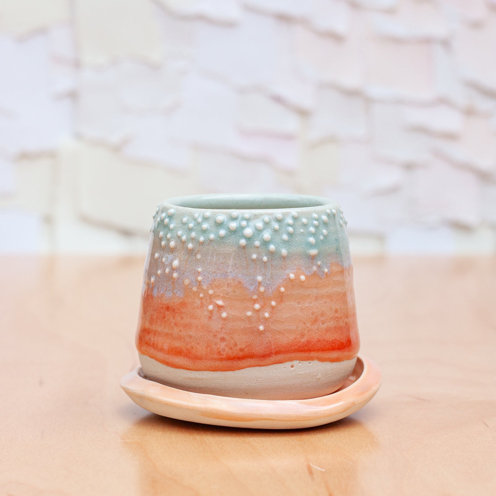 Barnacle Mini Planter in Sunrise Mist