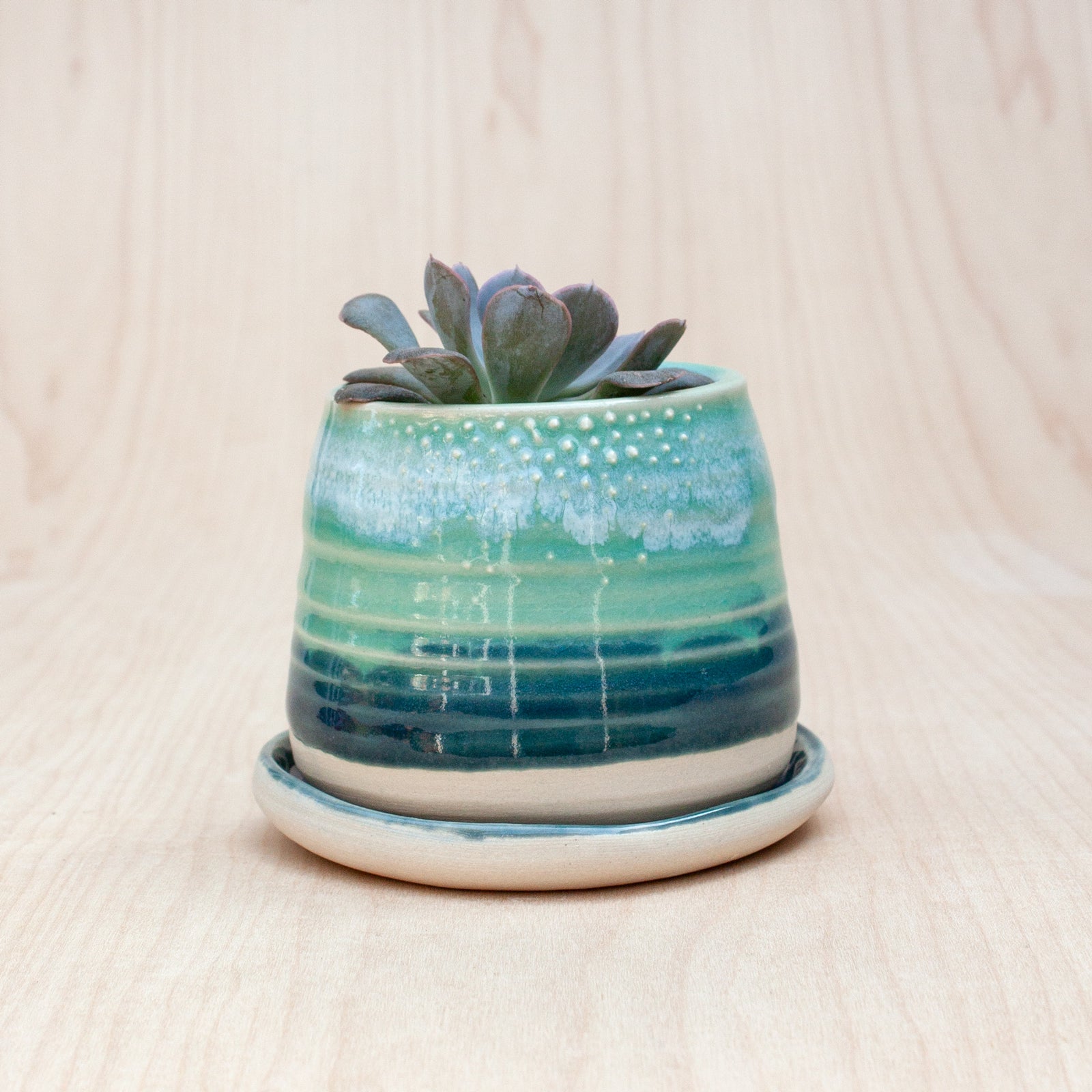 Barnacle Babe Planter in Neptune
