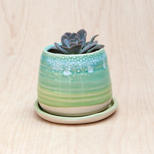 Barnacle Babe Planter in Caribbean
