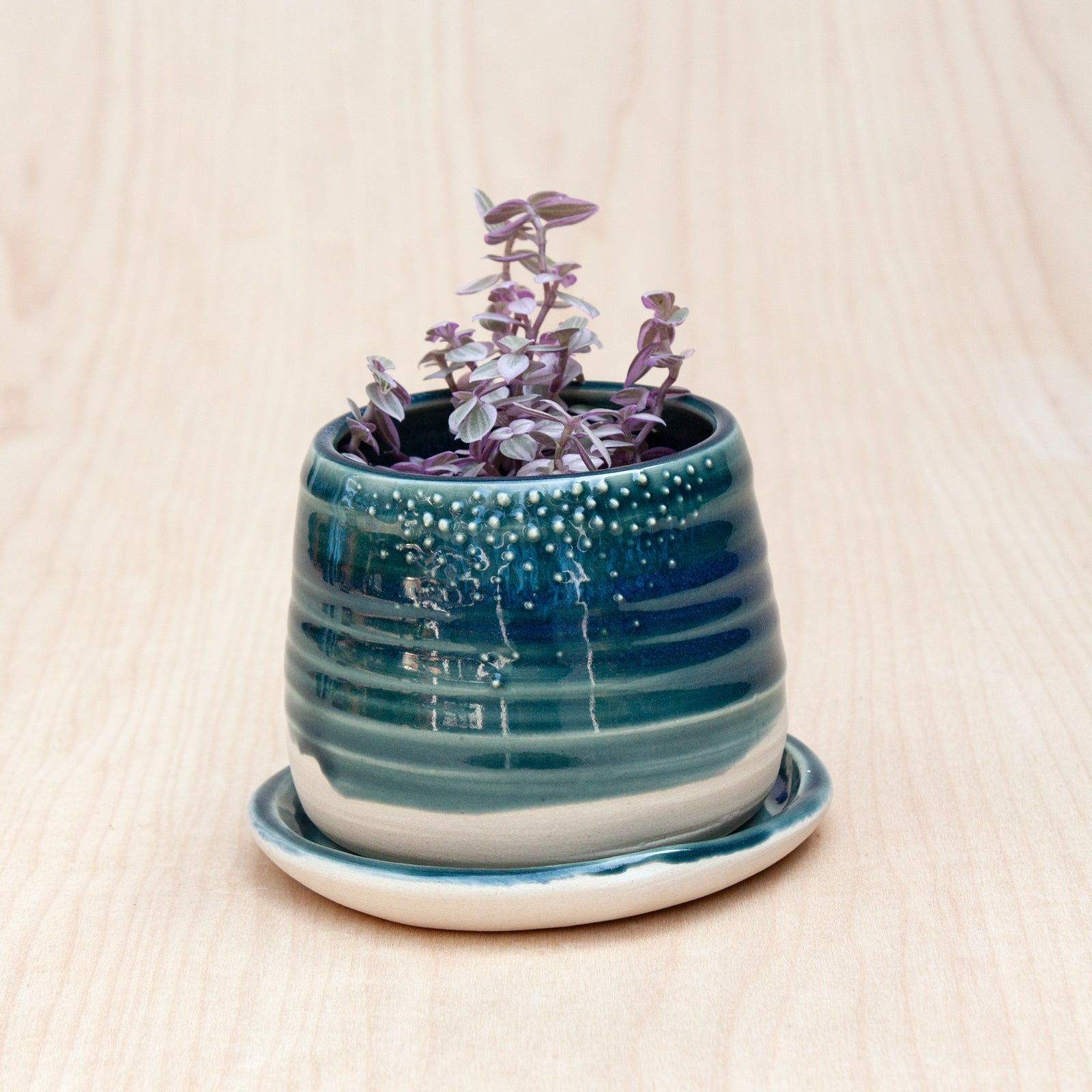 Barnacle Babe Planter in Pacific