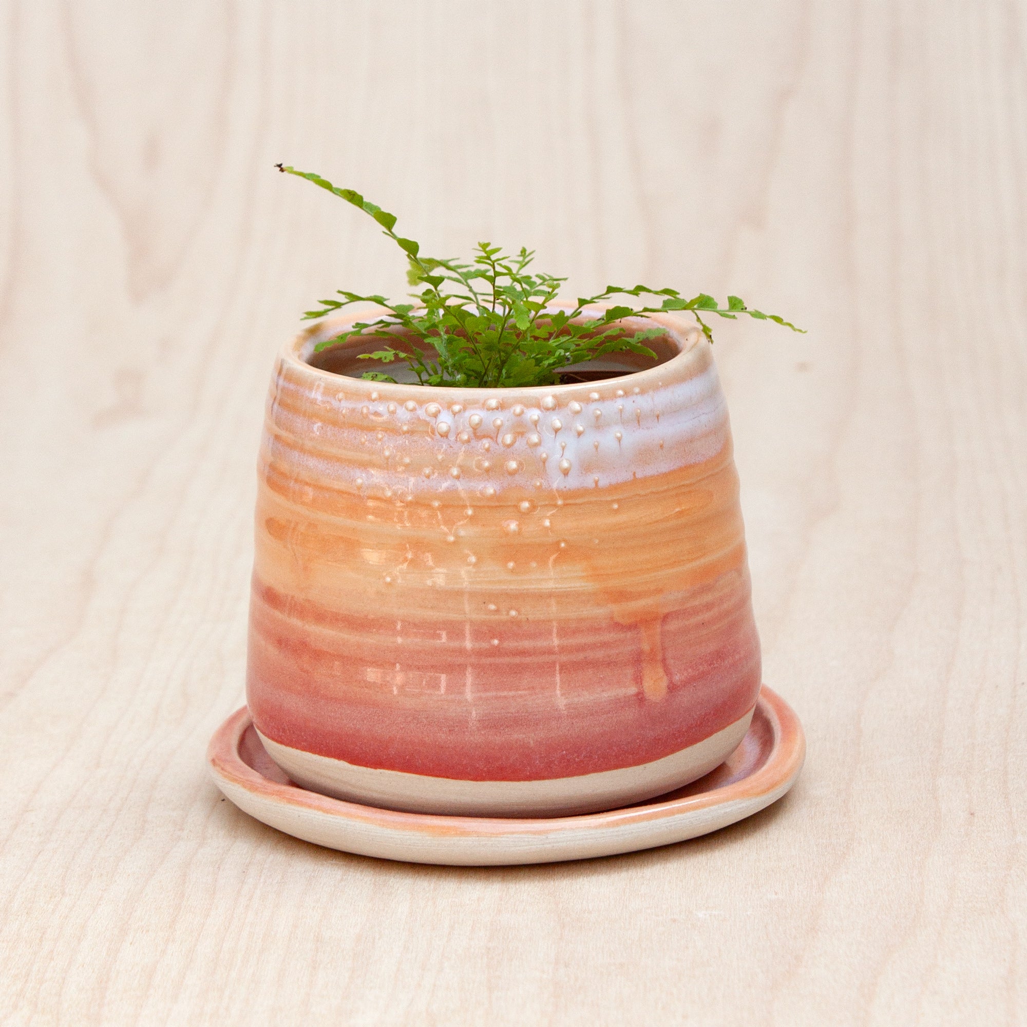 Barnacle Babe Planter in Sunset