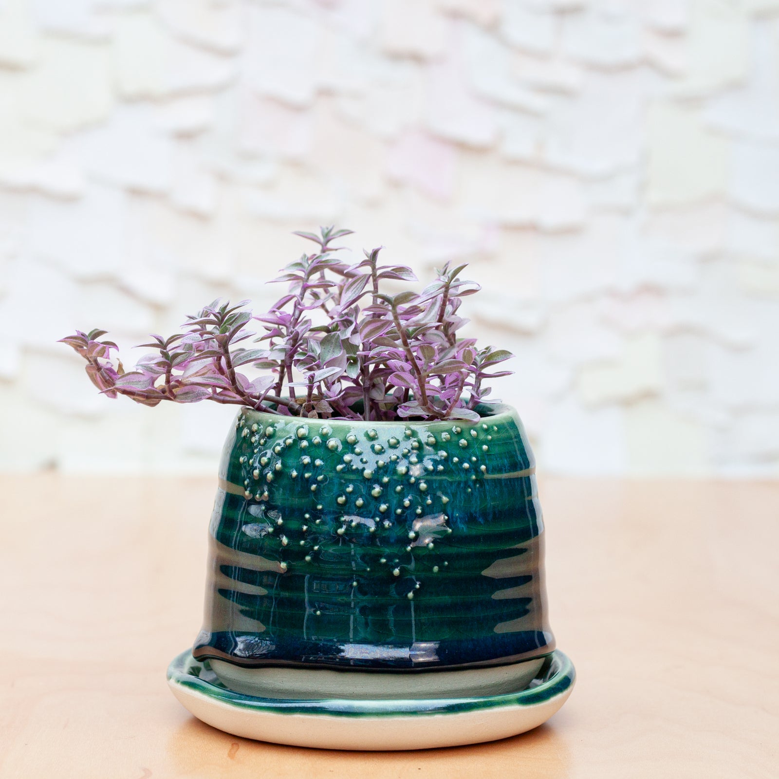 Barnacle Babe Planter in Emerald