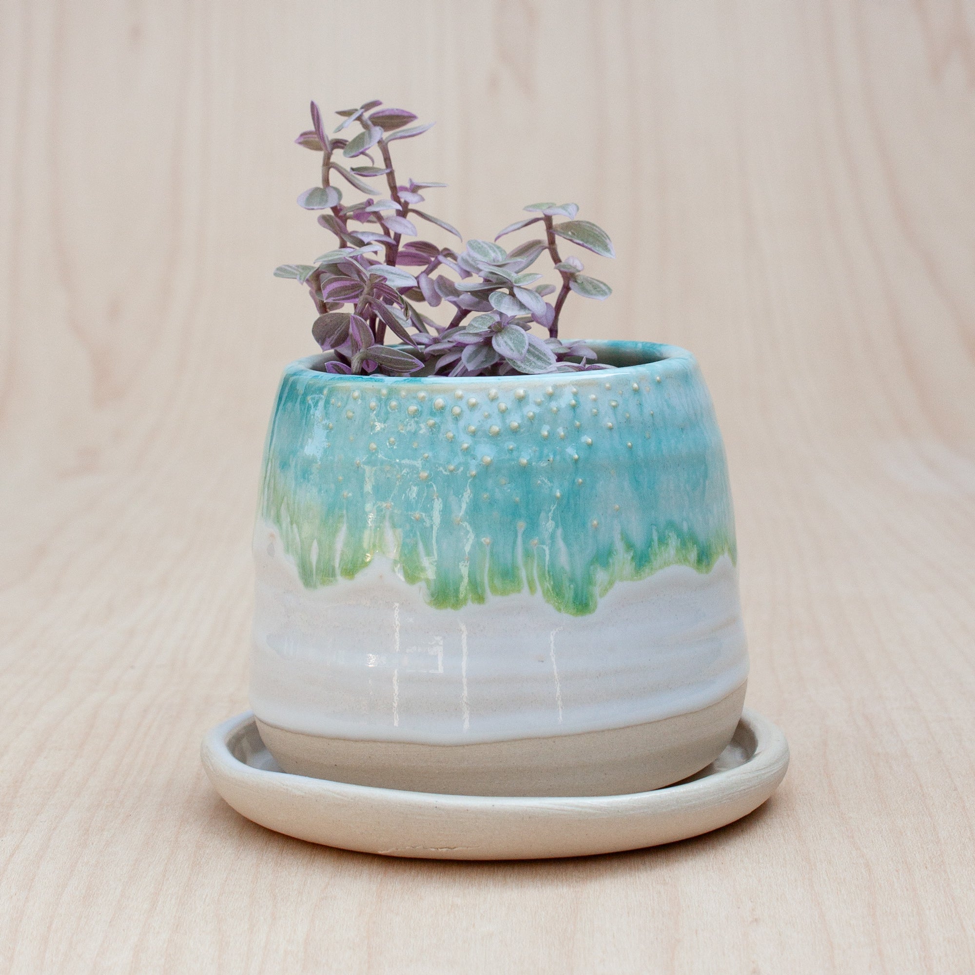 Barnacle Babe Planter in Moss