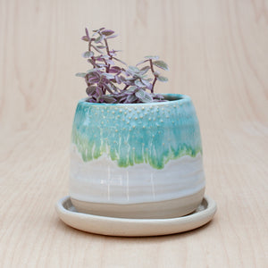 Barnacle Babe Planter in Moss