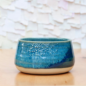 Barnacle Bowl in Pacific