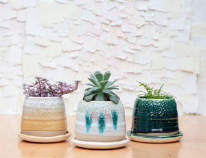 Barnacle Babe Planter in Emerald