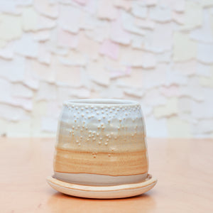 Barnacle Babe Planter in Sandstone