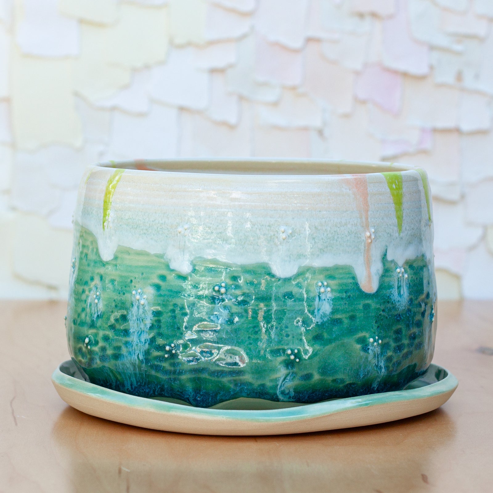 Bonny Doon Planter in Succulent