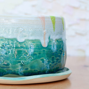 Bonny Doon Planter in Succulent
