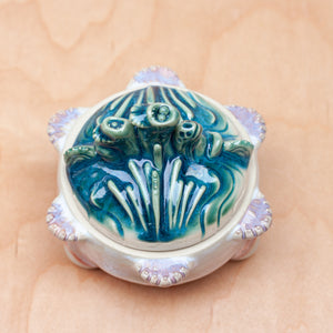 Mushroom Treasure Box