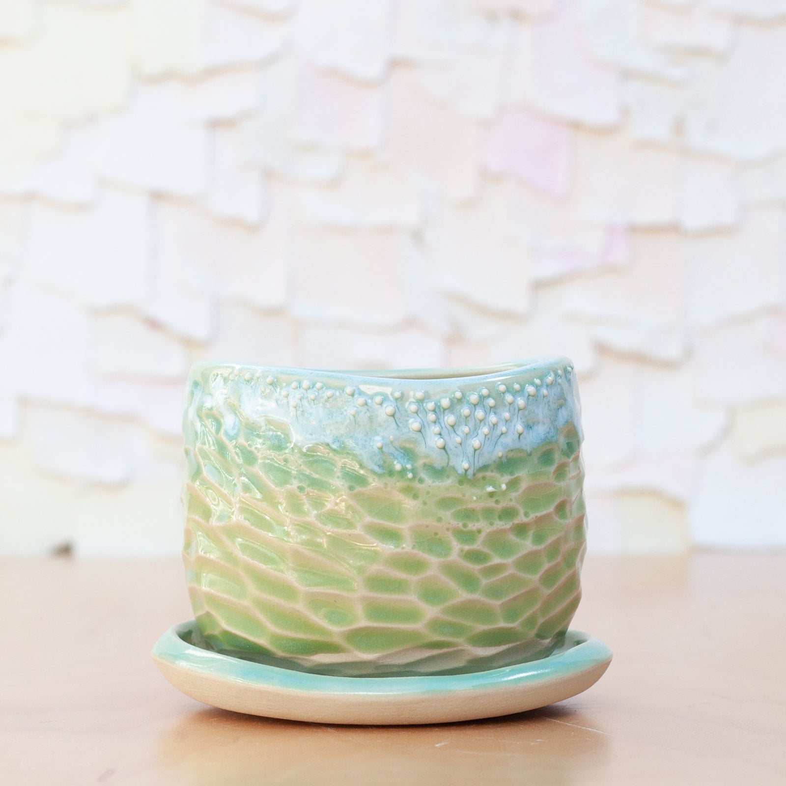 Neptune Babe Planter in Caribbean