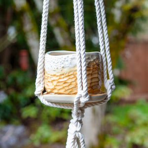 Cotton Rope Plant Hanger