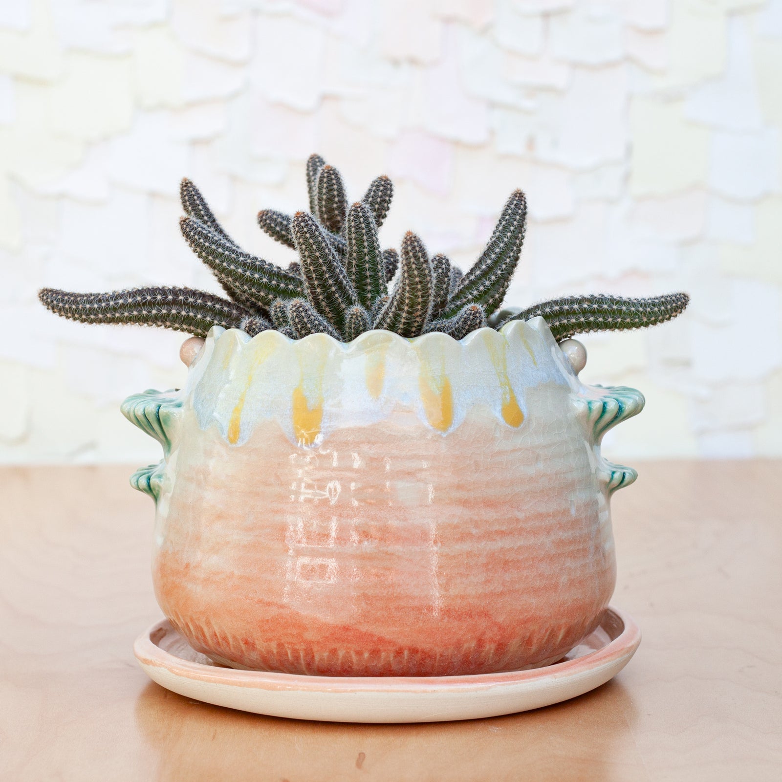 Scallop Planter in Solar Ray