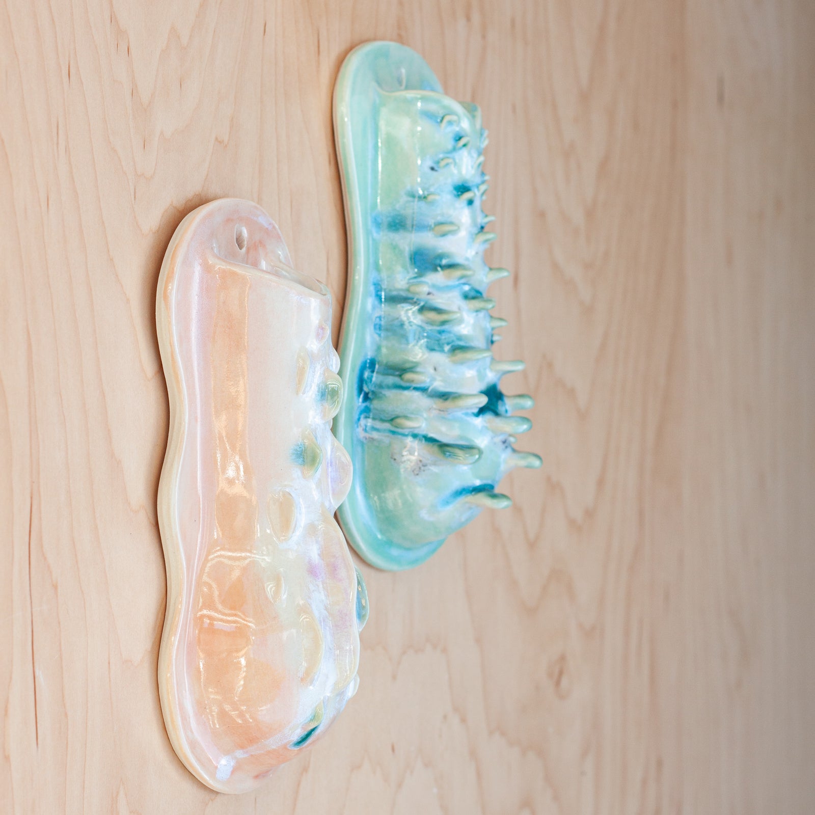 Wall Vase in Succulent