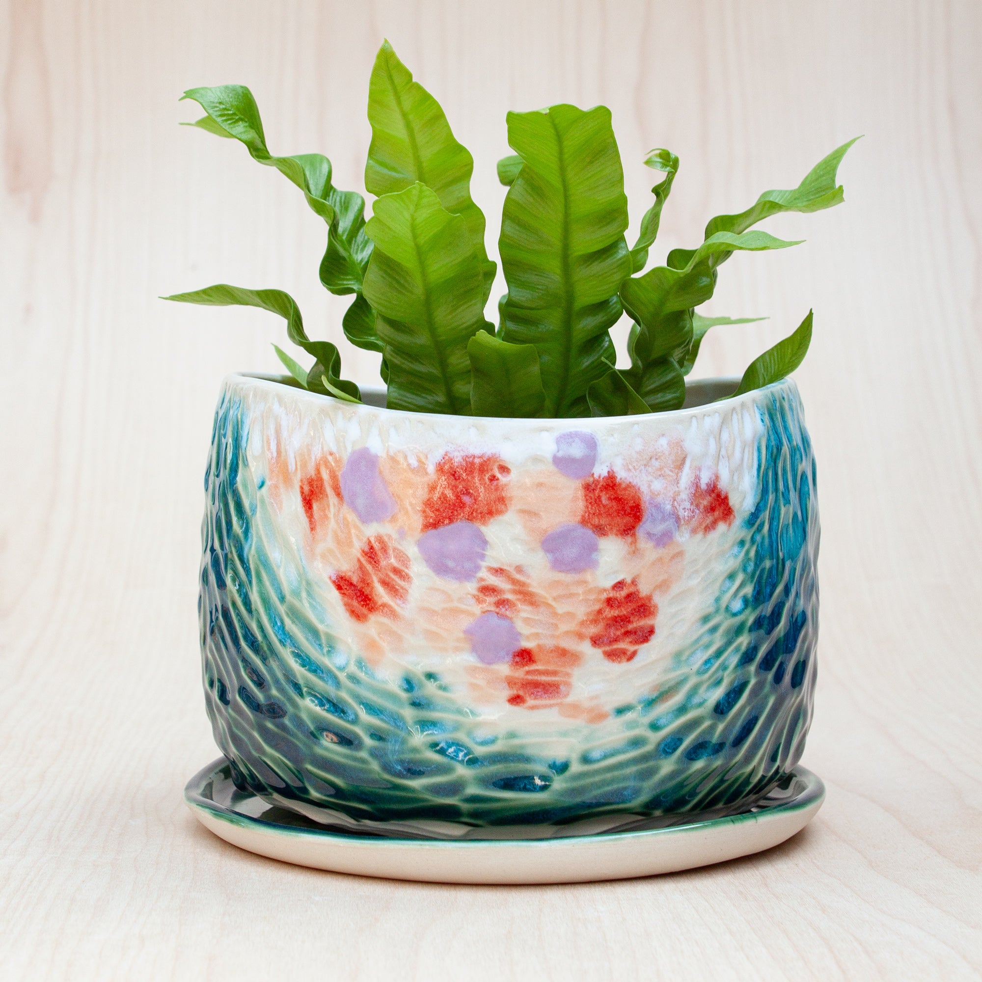 Large Canyon Planter in Forest Bloom